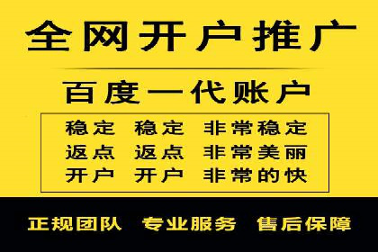 专业SEM代运营托管公司案例分析